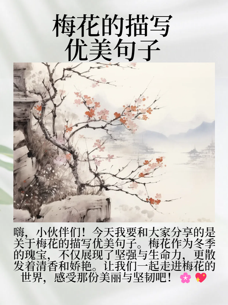 梅花美句图片