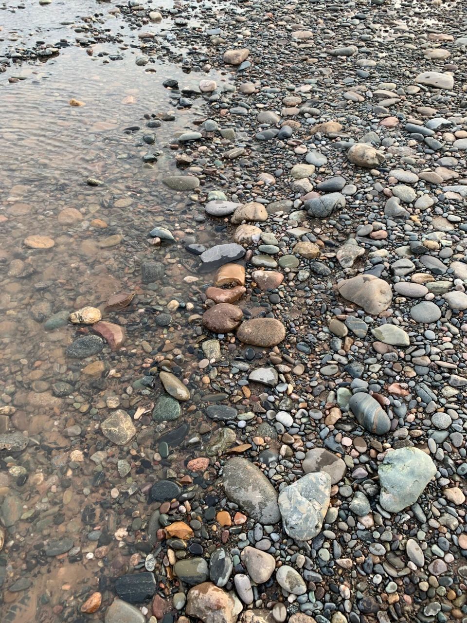 欢迎外地游客来兰州黄河边边捡石头 五一期间欢迎大朋友小朋友去黄河