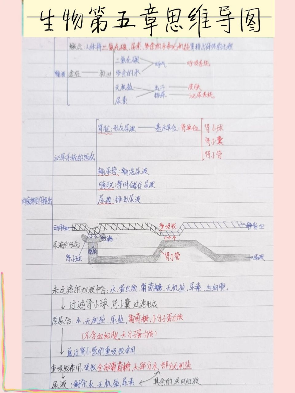 七年级第五章思维导图图片