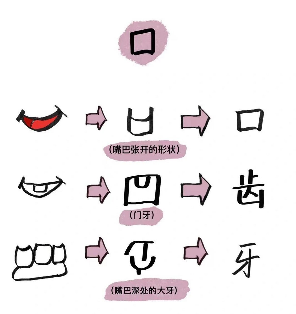 与口有关的汉字 #甲骨文# #汉字