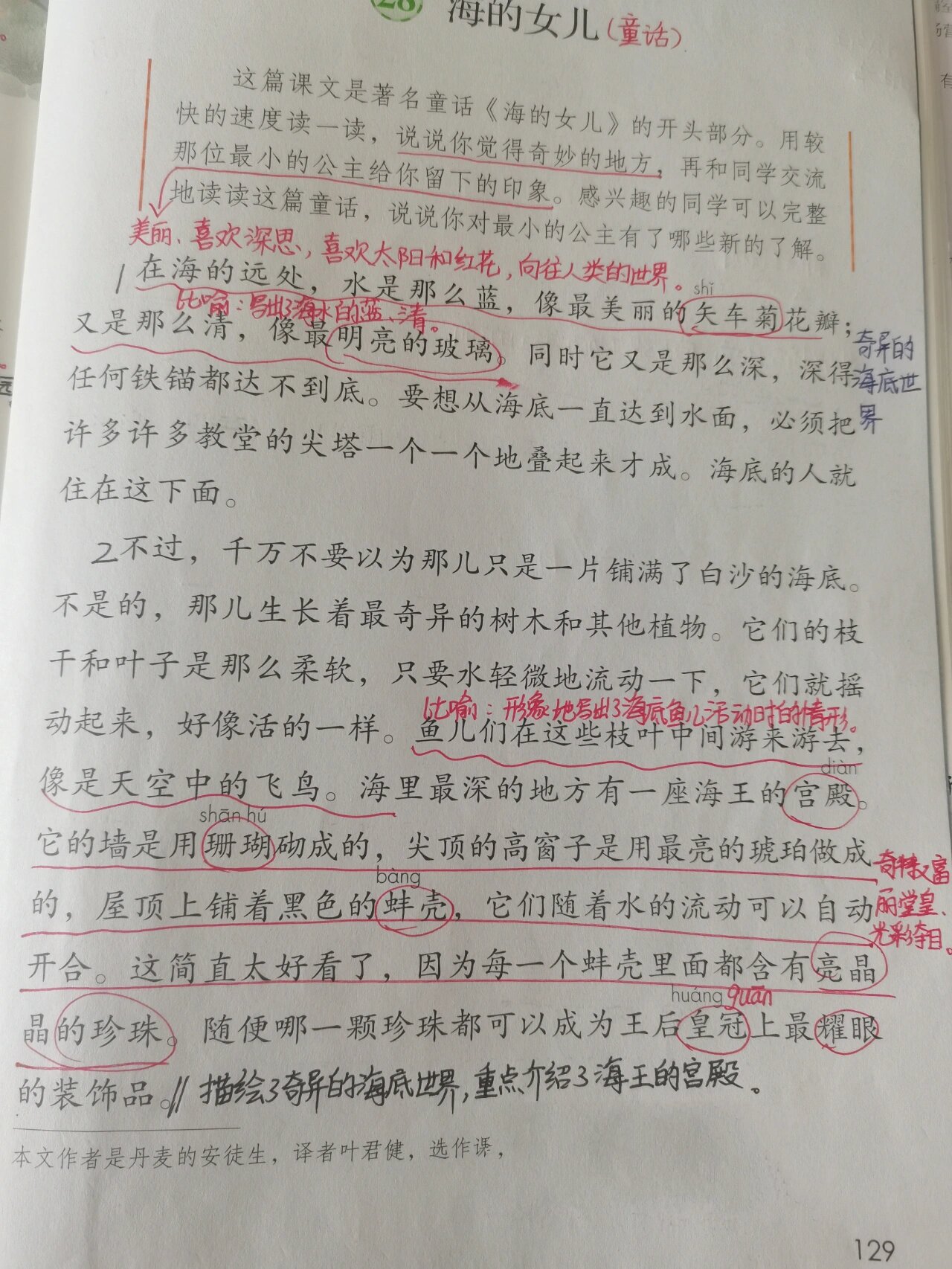 海的女儿笔记随堂图片