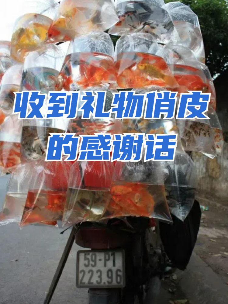 收到礼物是一件让人心情愉悦的事情,让我们一起来看看如何用一些有趣