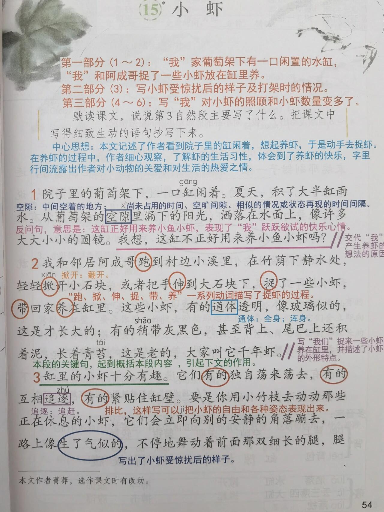 第十五课小虾图片