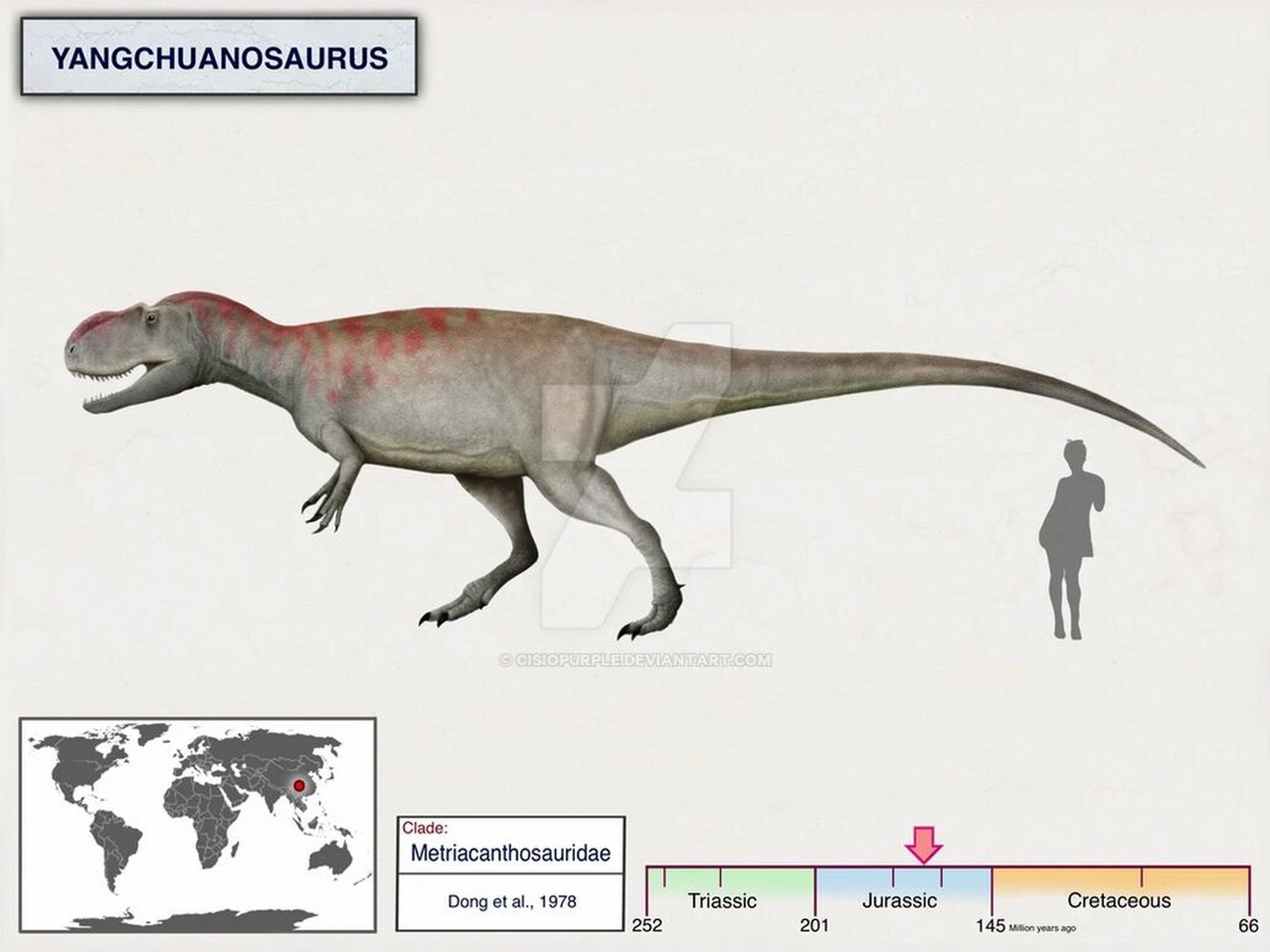 永川龙 上游永川龙 yangchuansaurus shangyouensis恐龙总目-蜥臀目