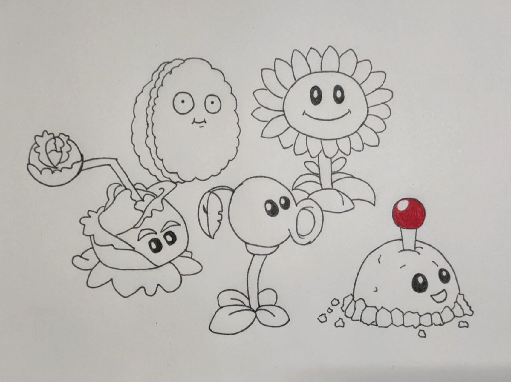 简笔画②/植物大战僵尸简笔画 画眼睛难,难于上青天 上色难,难于上