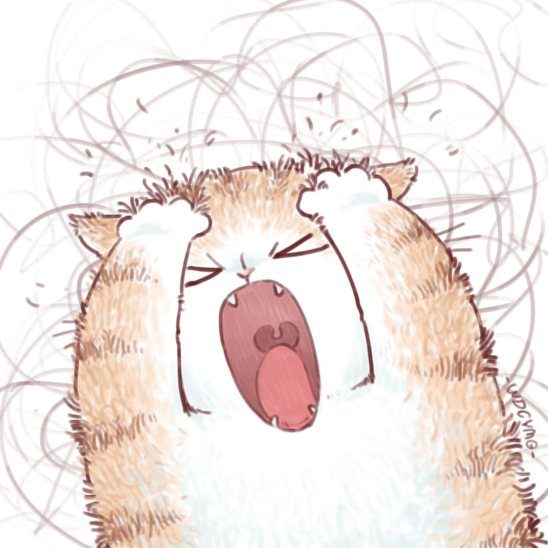 彻底疯狂!猫咪头像