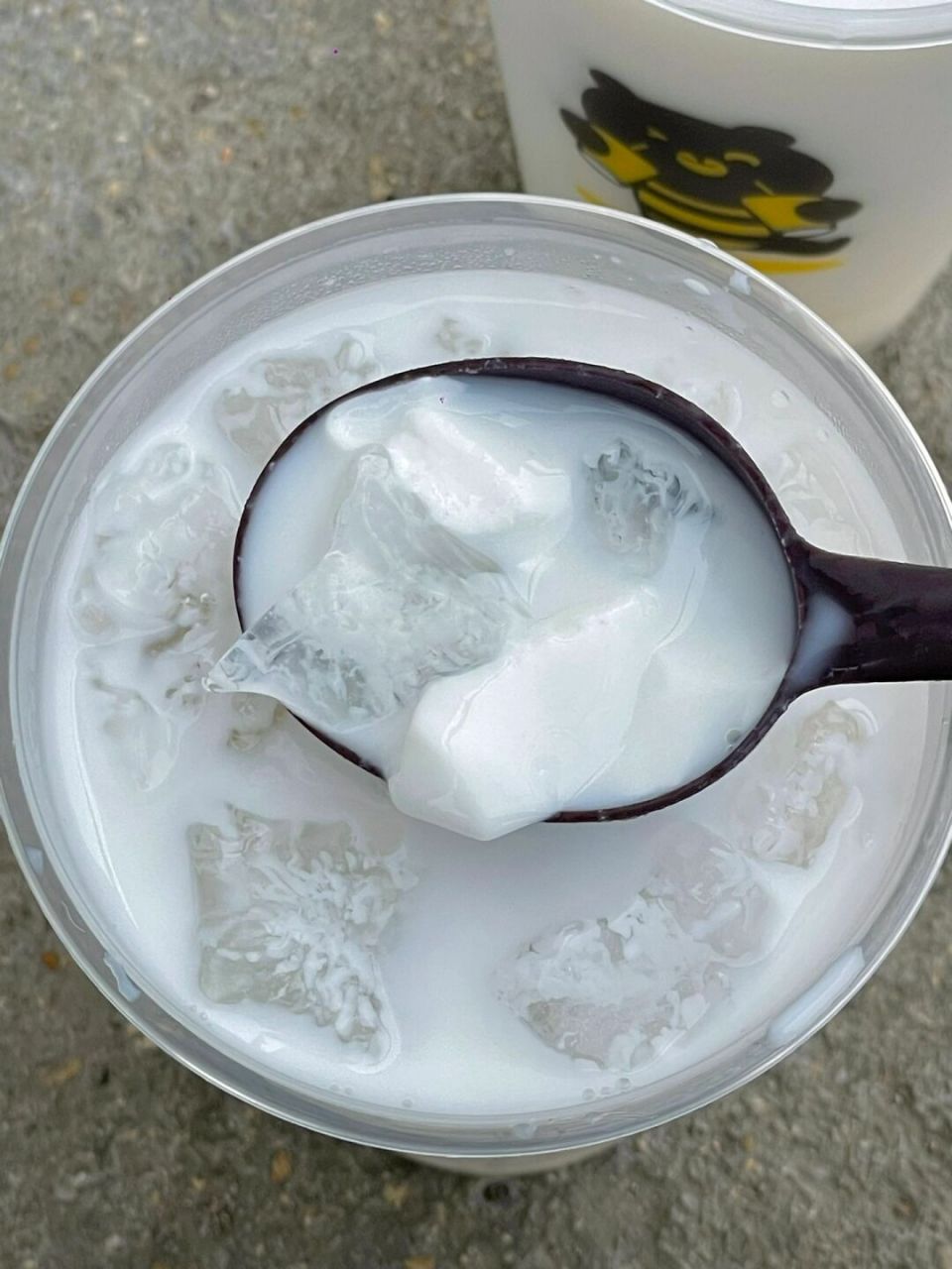 生打椰奶冻 !超级清爽!巨好喝 瞬间空杯! 里面