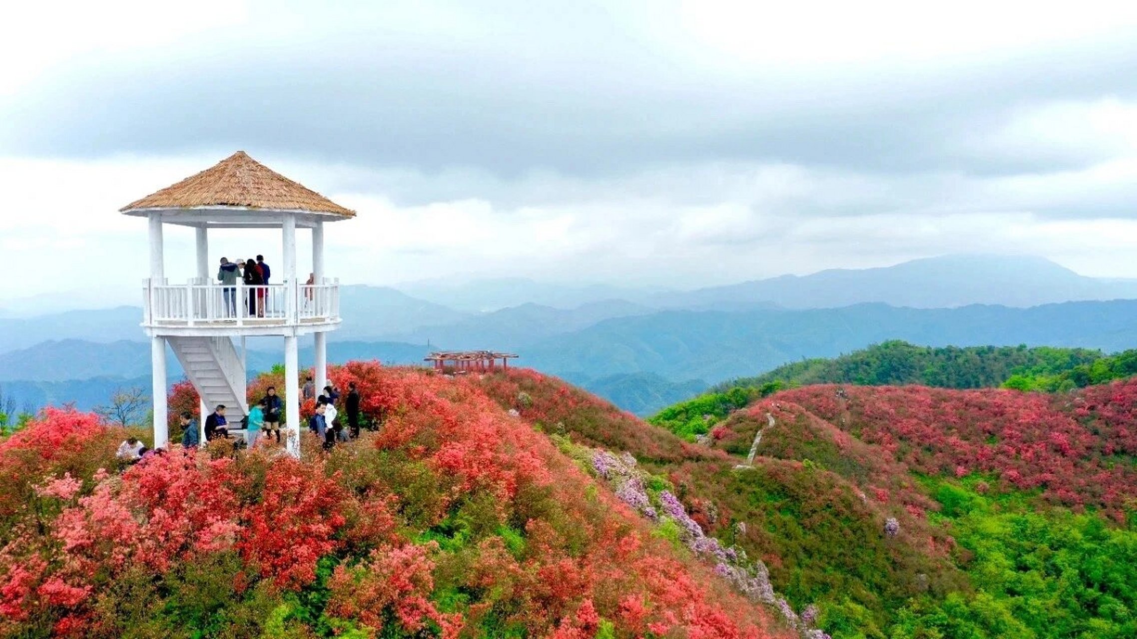 游四八门 广寒寨上四八门,映山红香漫野闻.