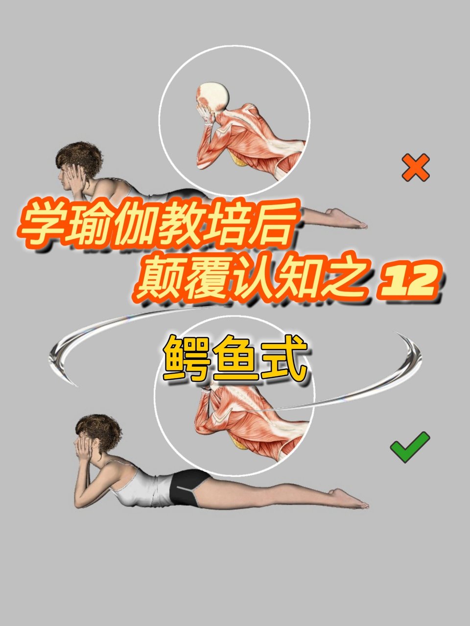 瑜伽教培后,颠覆认知之12:鳄鱼式笔记 0090体式名称:鳄鱼式放松