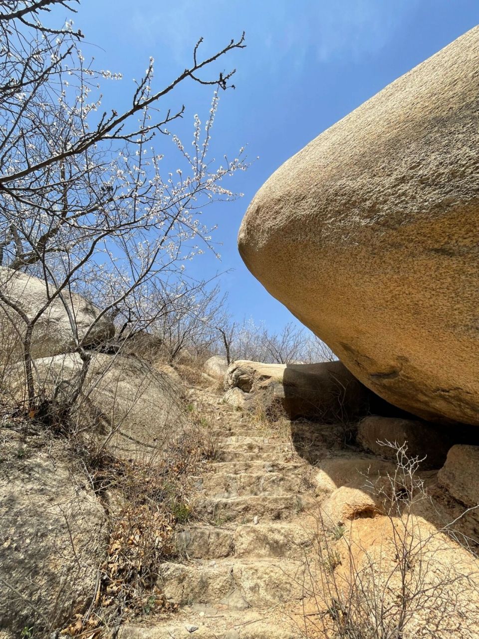 本周打卡·鳞龙山风景区 朋友推荐位于怀柔的鳞龙山自然风景区,原来