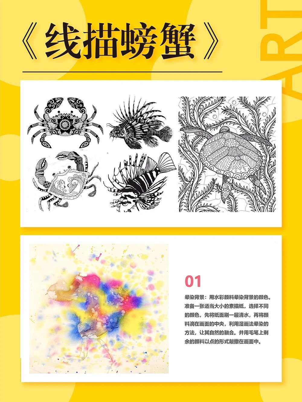 少儿创意美术课件ppt《线描螃蟹》