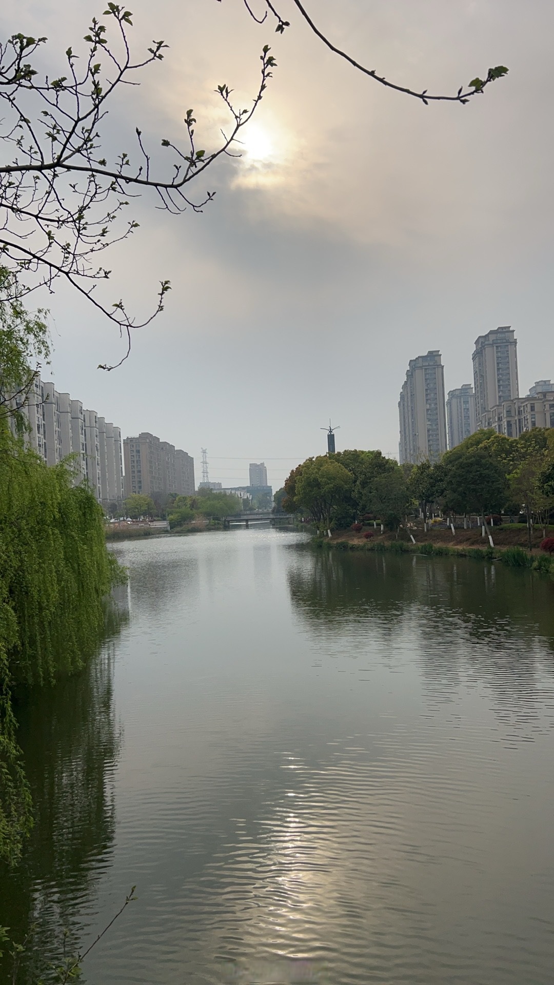 德清县天气预报30天
