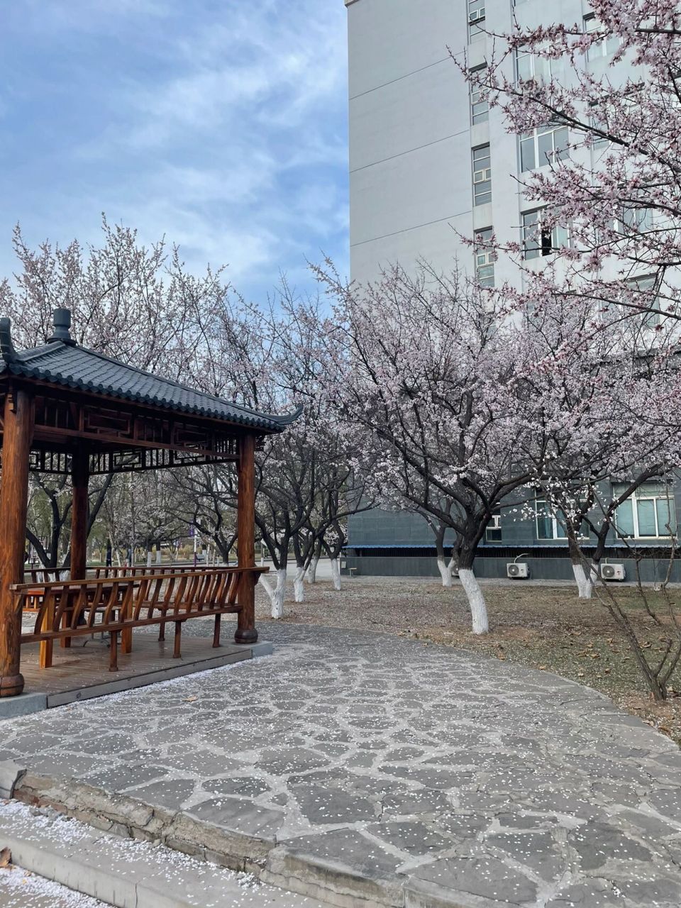 河北旅游职业学院 浅浅的发一下学校的环境吧 学校有两个校区,第