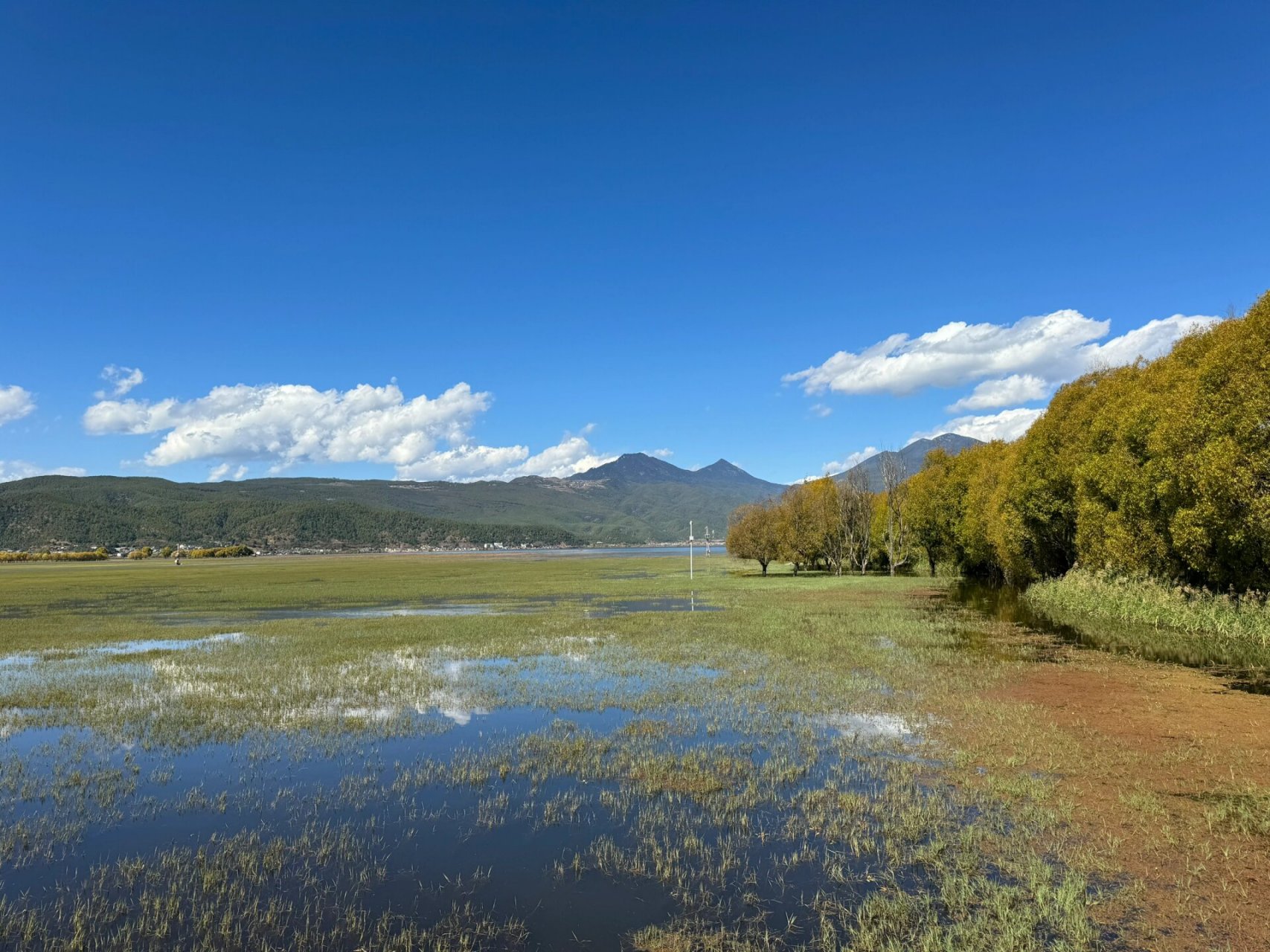 拉市海免费攻略 打车定位:云南丽江拉市海高原湿地省级自然保护区管理