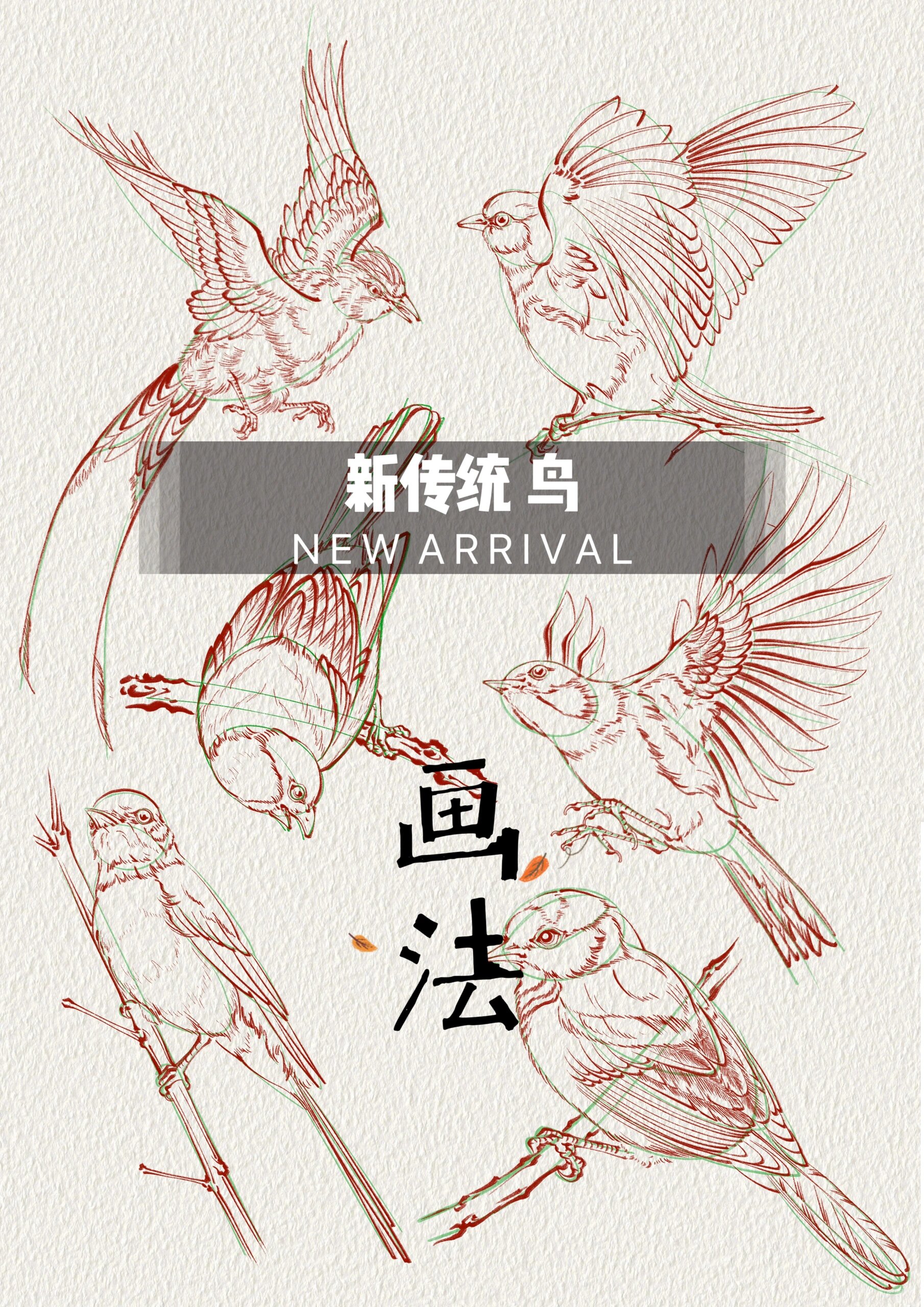 30秒学会画鸟 鸟的画法很简单,可以理解为四个部分 1.头 2.身体 3