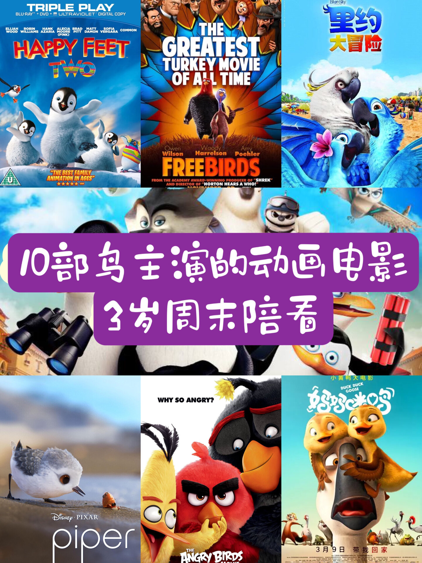 认识以下鸟类:金刚鹦鹉,葵花凤头鹦鹉,冠红蜡嘴鹀,金丝雀,巨嘴鸟,企鹅