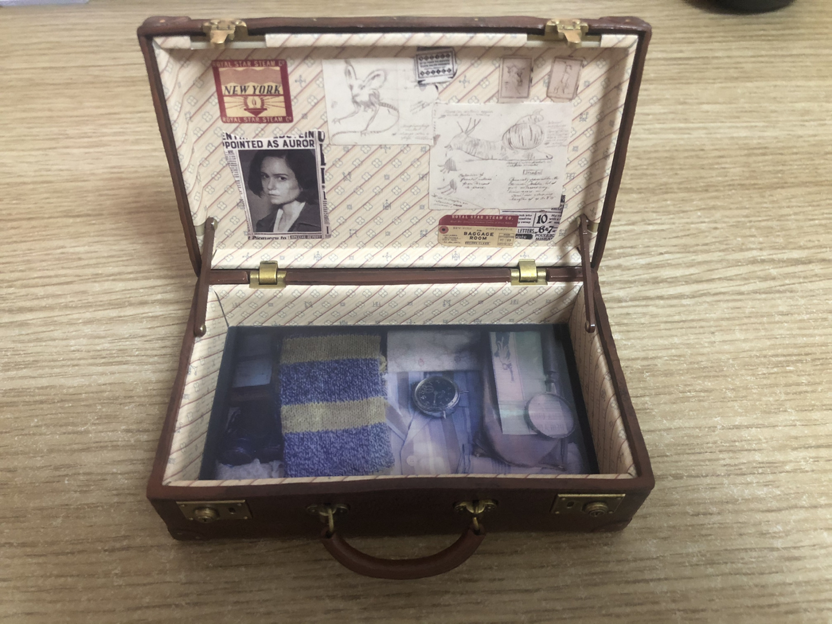 纽特手提箱!终于到啦! ht yyds