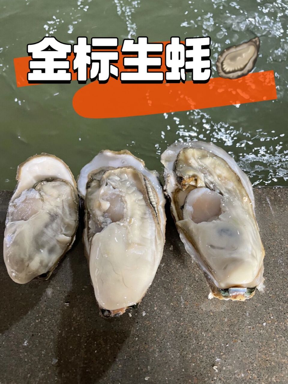 鸭蛋牡蛎德川图片