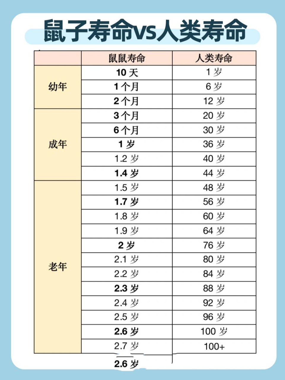 仓鼠寿命对照表图片