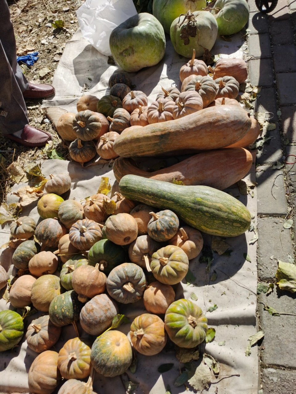 北京通州周边最大集市 漷县大集 太好逛了 北京通州周边最大的集市