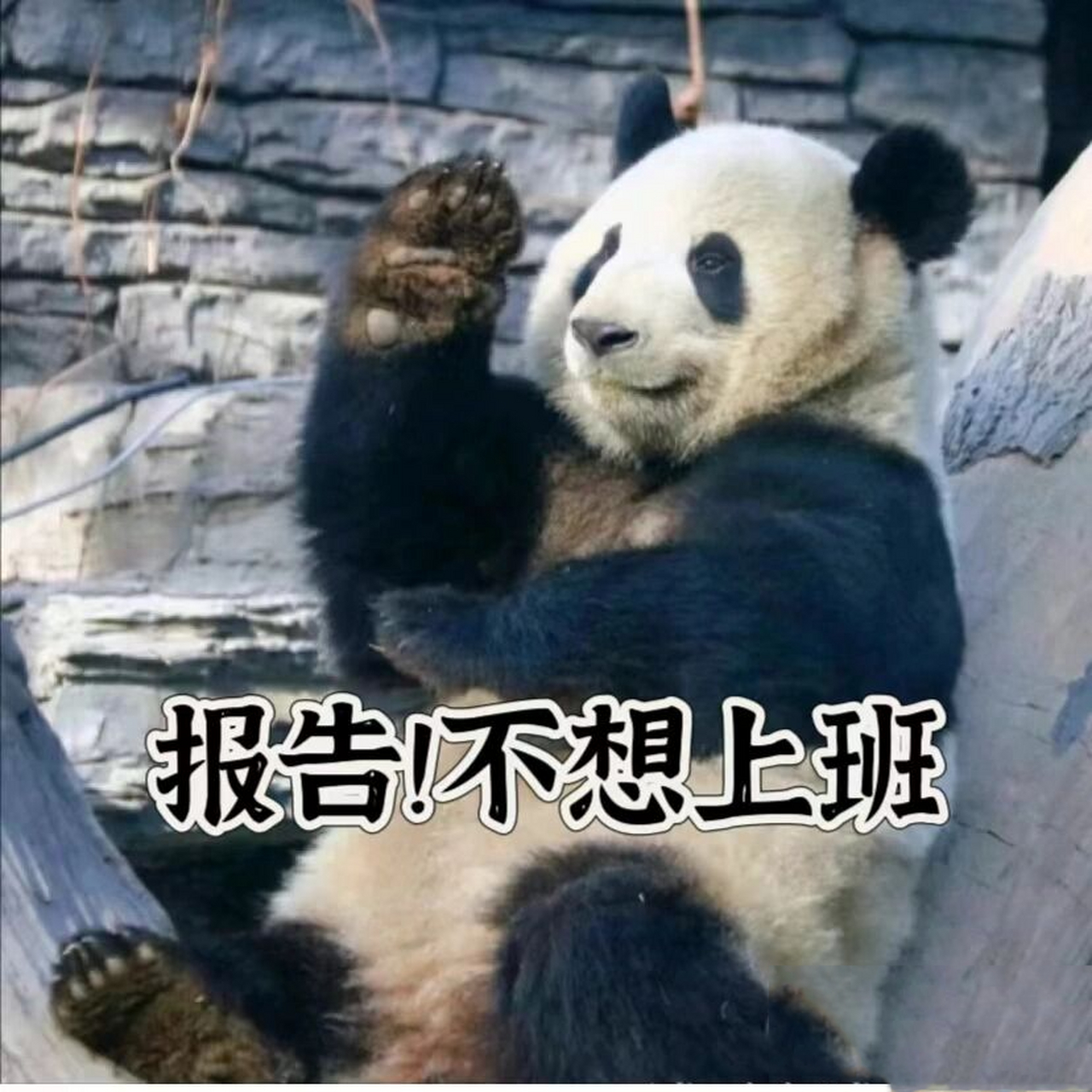 今天怎么才周一07 一些很符合此刻心情的表情包 	 图片来源:w.