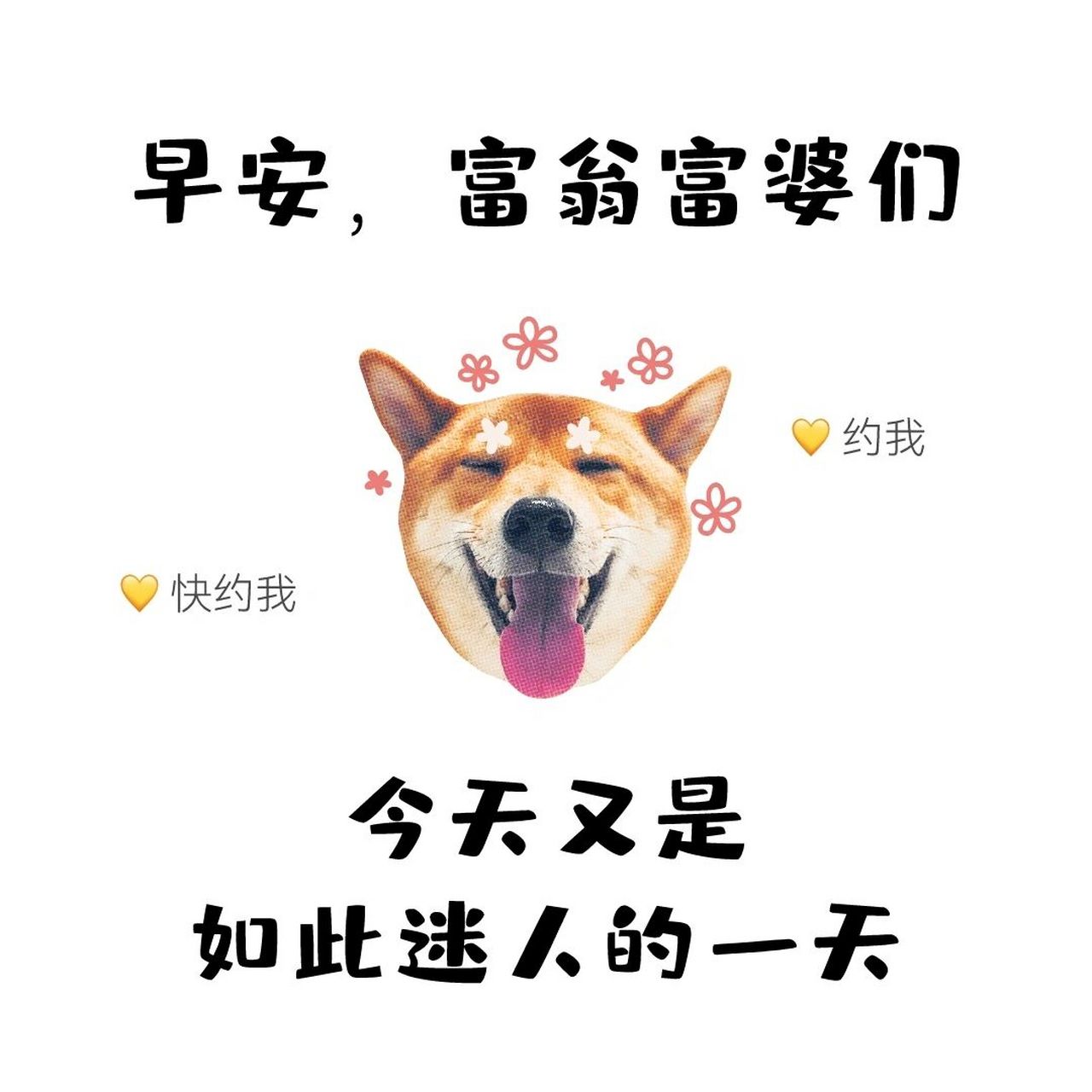 早安,富婆们 搞笑幽默营业图 朋友圈美学 吸引你的首先是广告 惊艳你