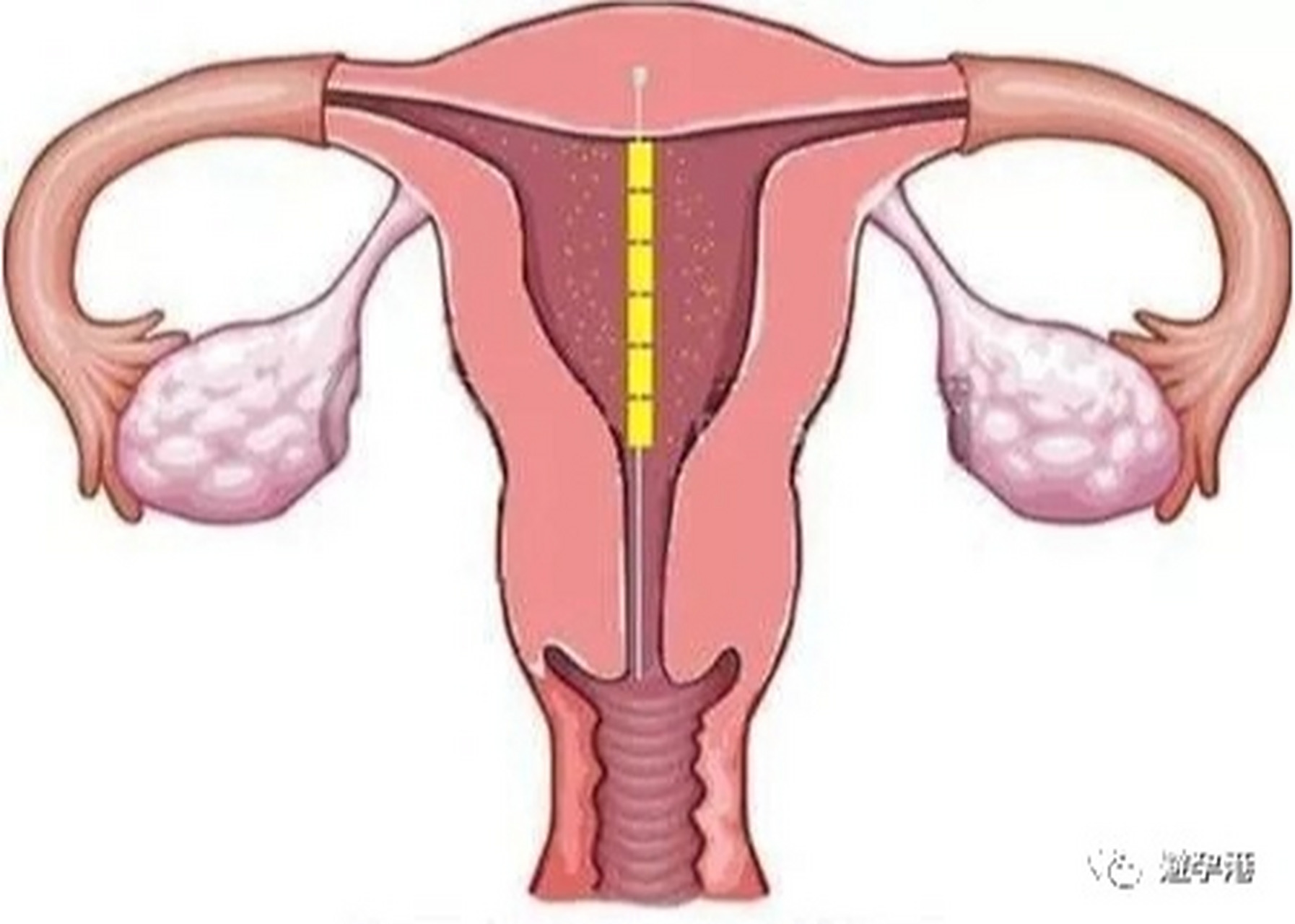 吉妮致美,吉娜!