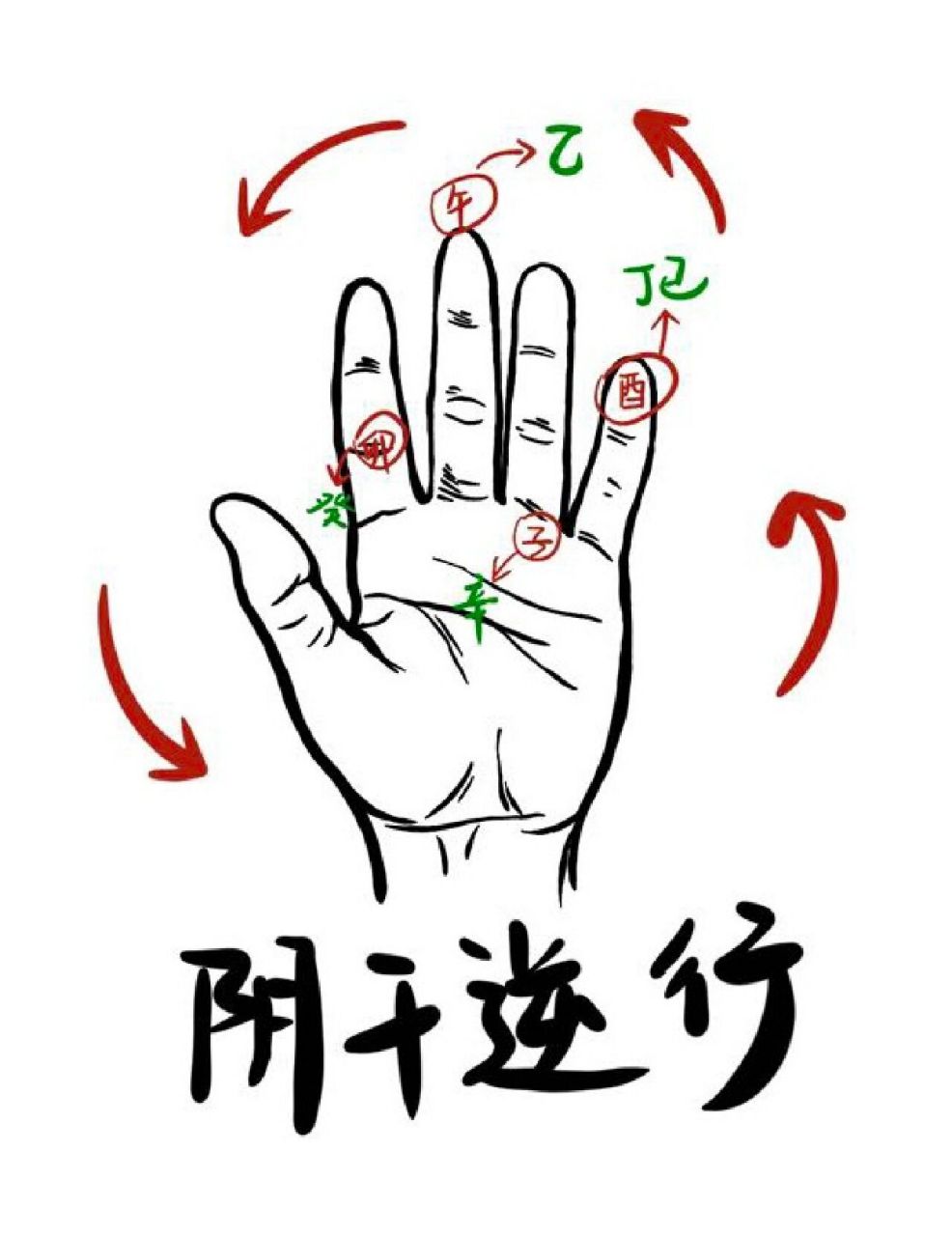 "十二长生"掌决 十二长生位也可以轻松在手掌上排出,现在就教大家一个