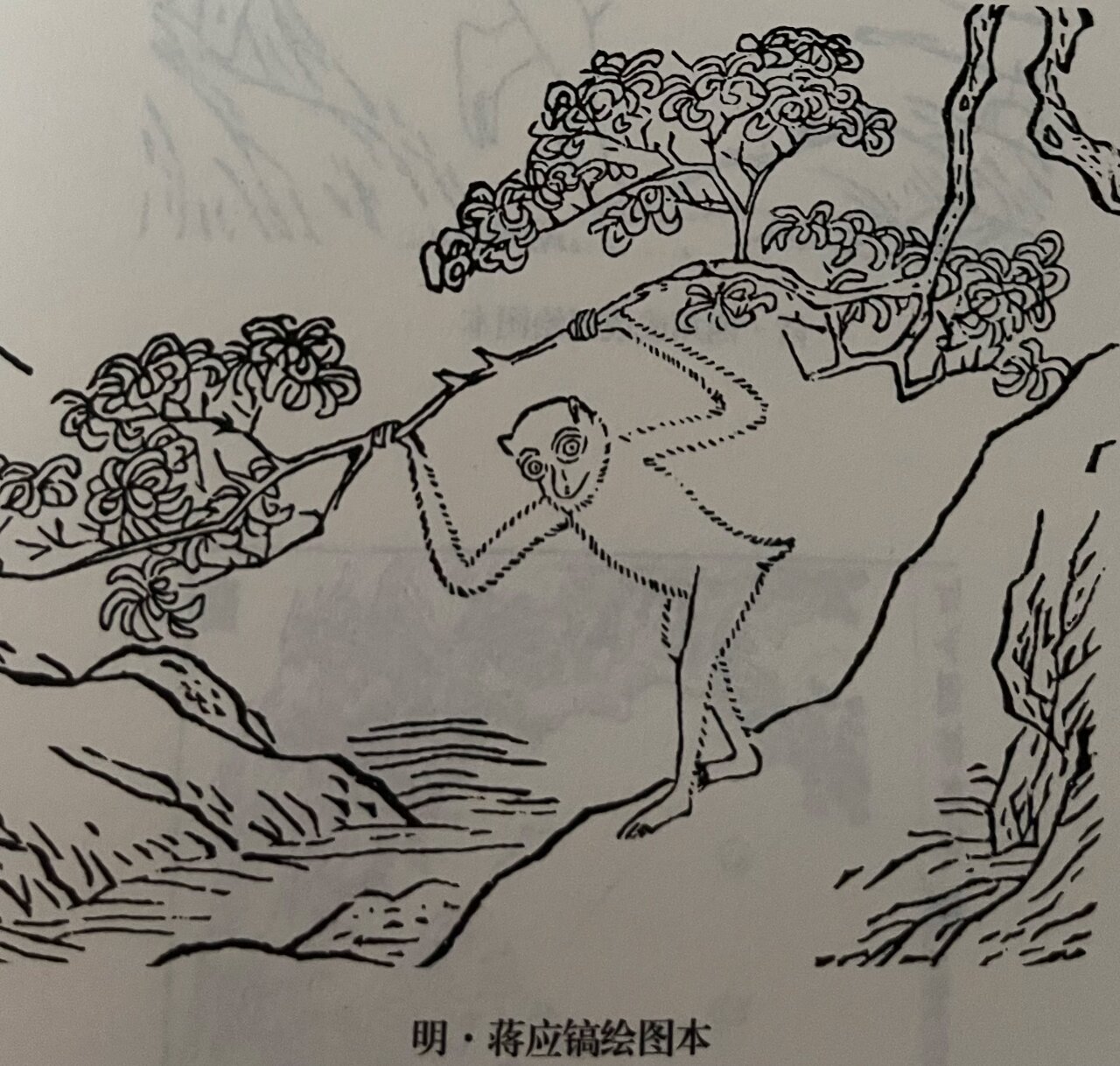 《山海经》中的异兽