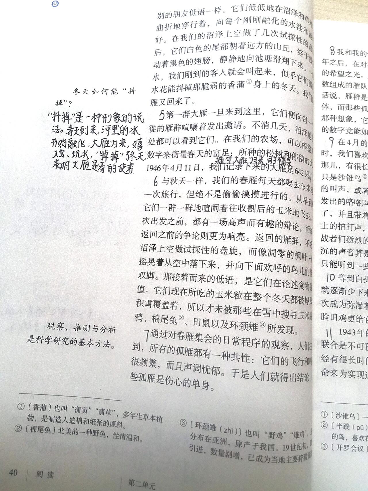 《大雁归来》课堂笔记