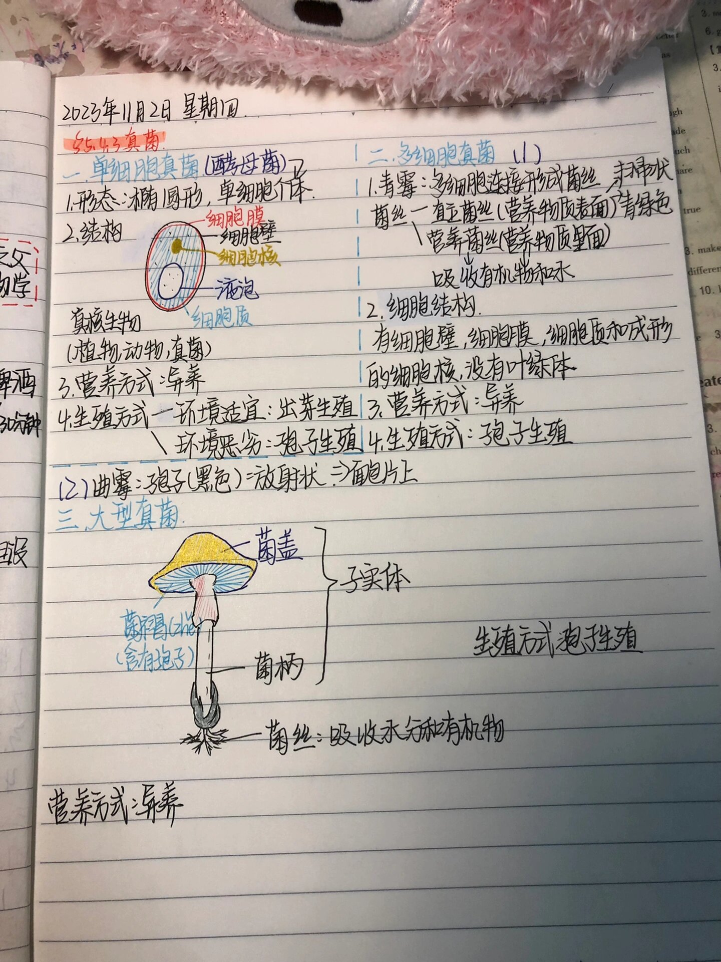 八上生物第四章第一节第二节细菌真菌笔记