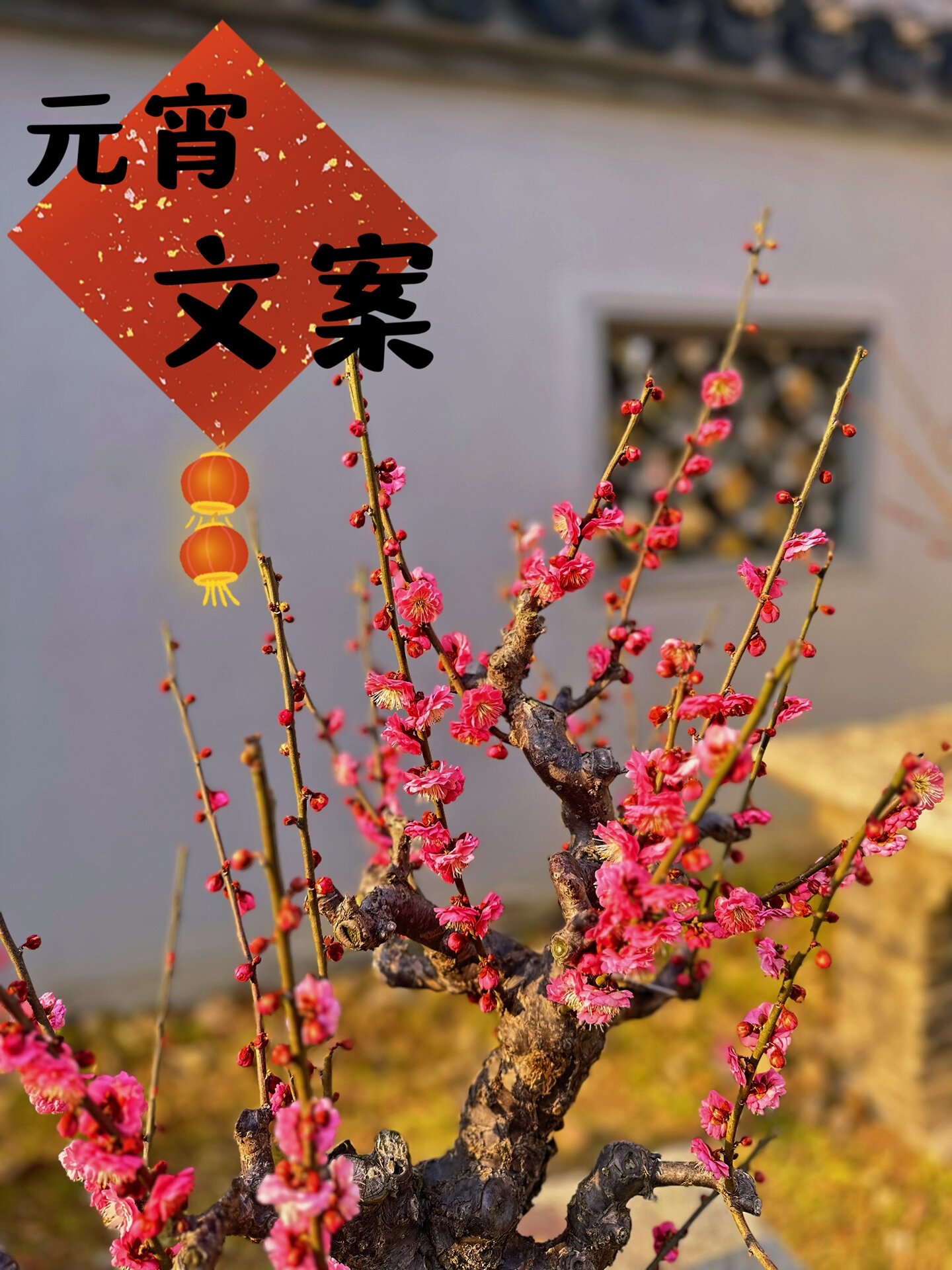 朋友圈文案分享|元宵高级文案 花样字体