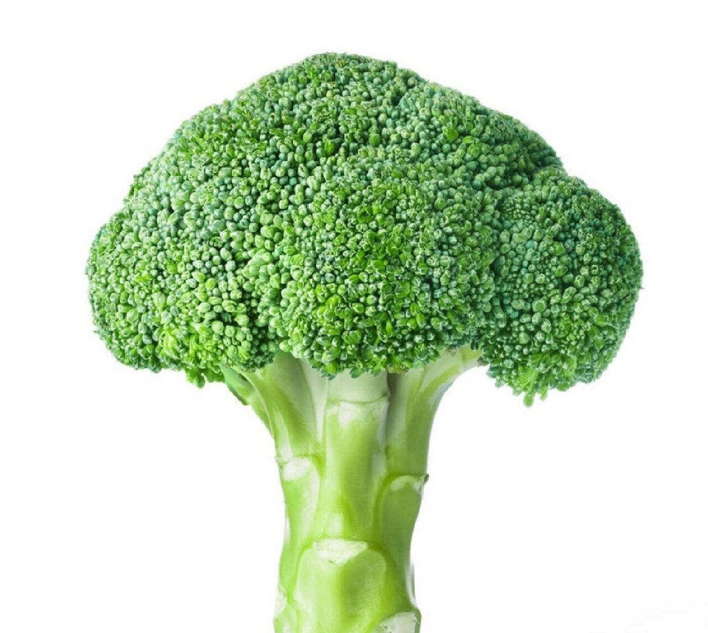 西蓝花和花菜有什么区别 西兰花,又名绿菜花,为1-2年生 草本植物,原产