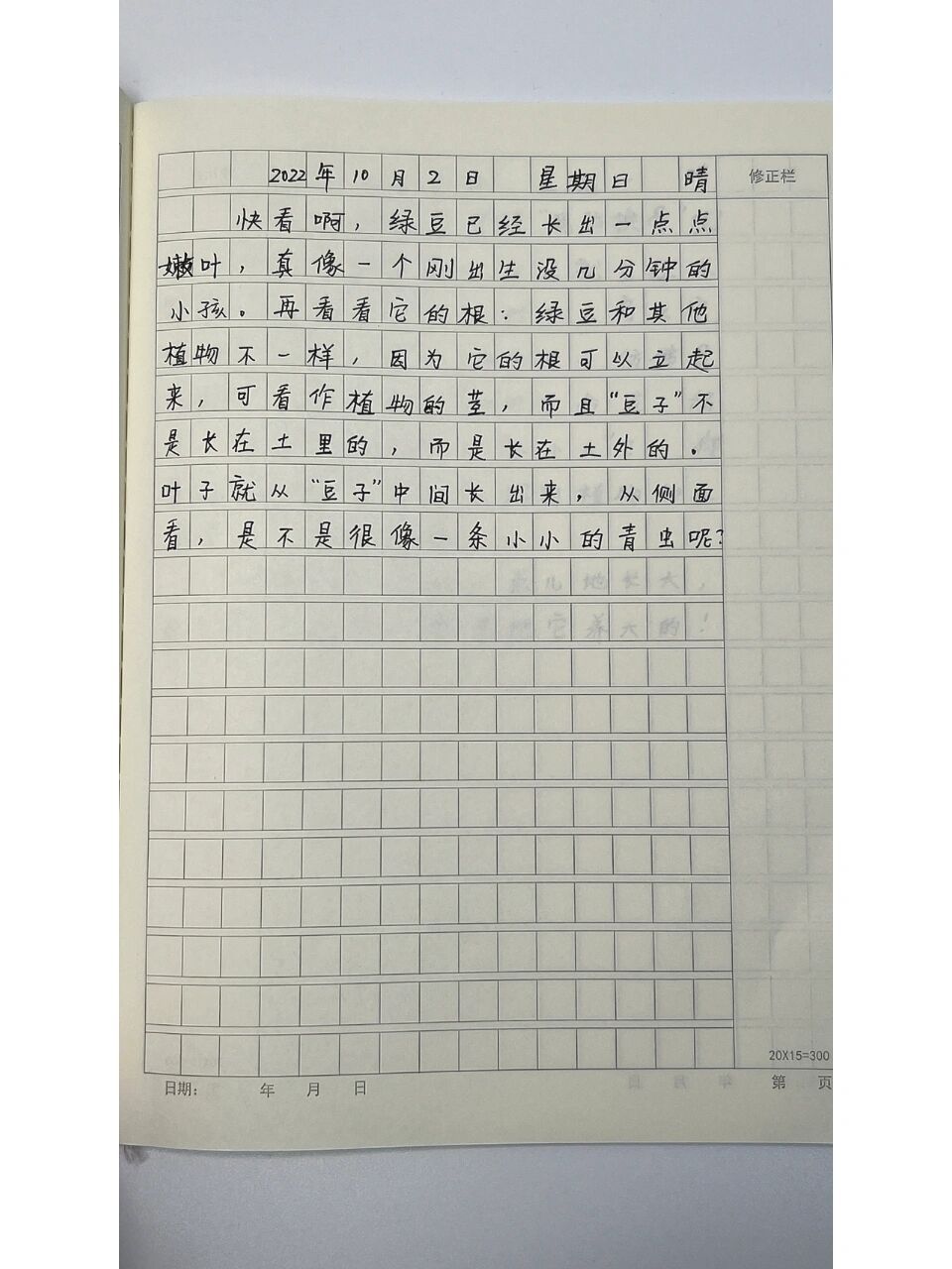 四年级 语文第三单元习作《写观察日记》——绿豆成长记小学作文 四