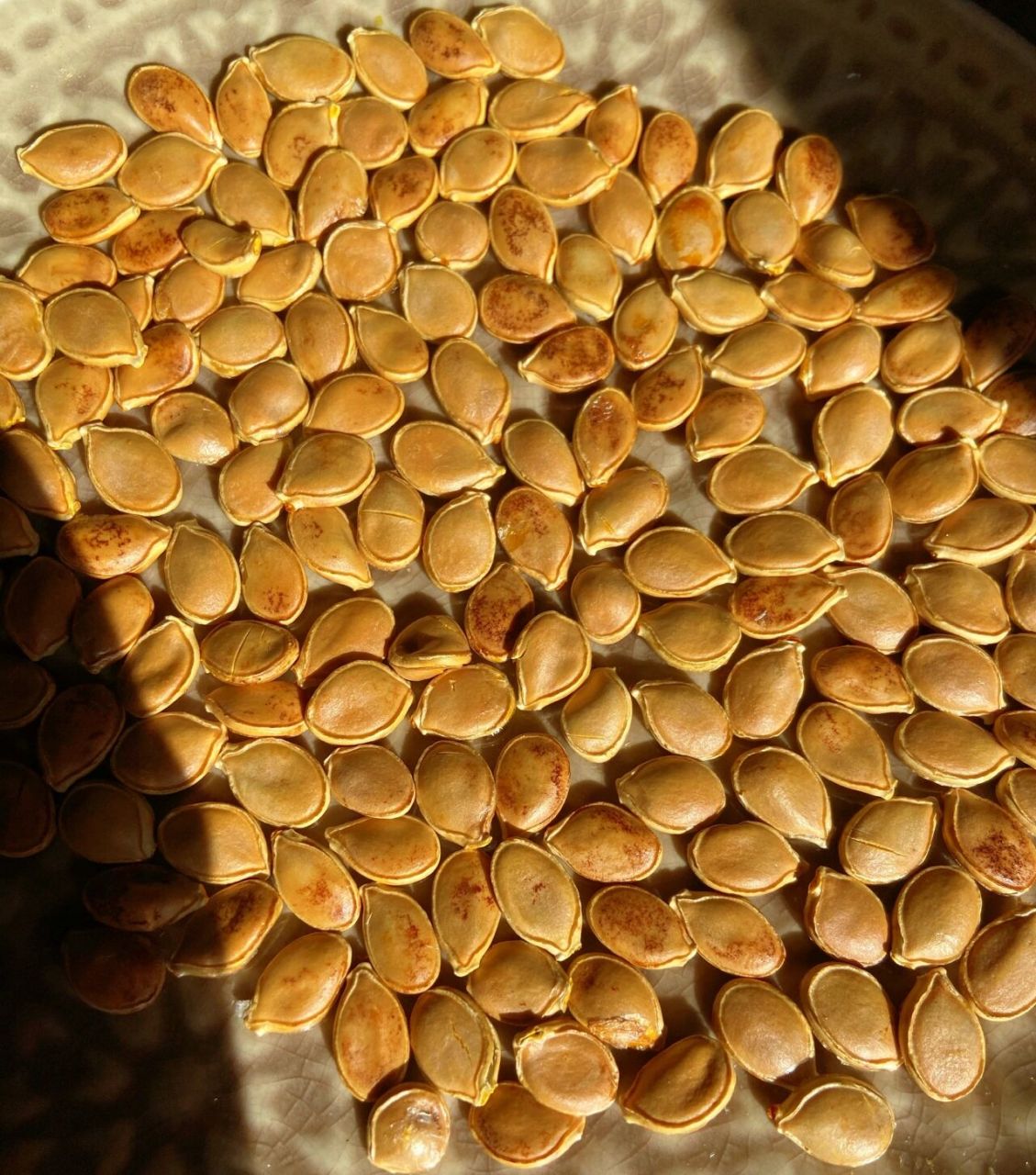 空气炸锅篇 | 烤南瓜子原味哒 顺便烤个 烤贝贝南瓜掏出来的南瓜籽