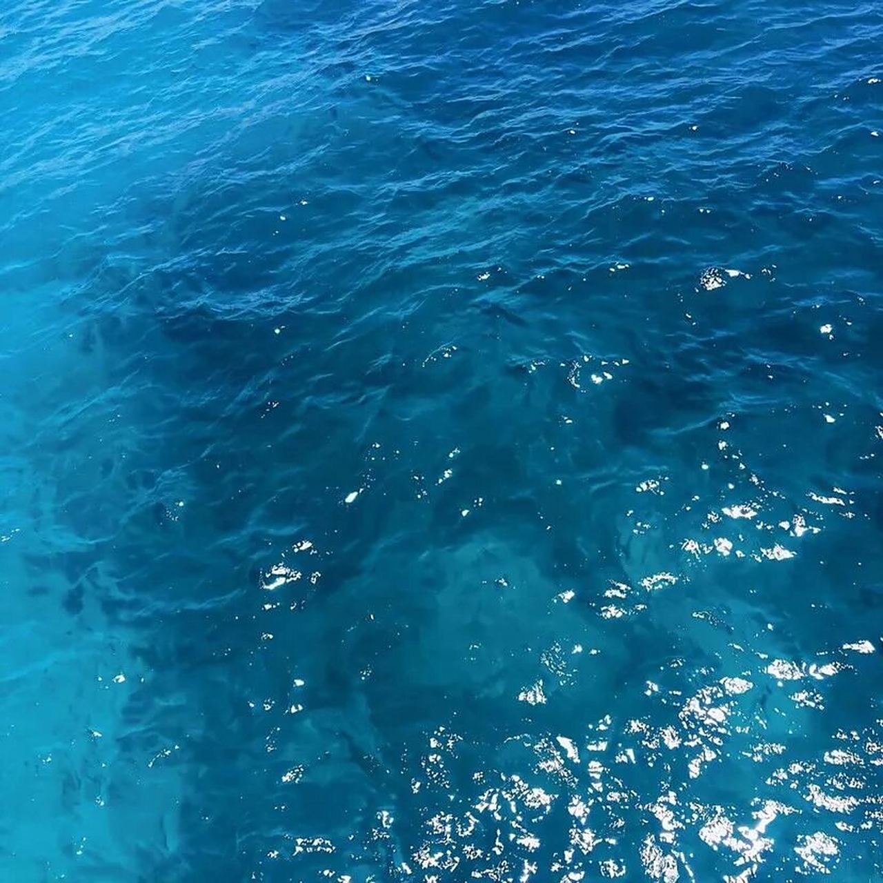 一些看着就很凉快的图片 #壁纸