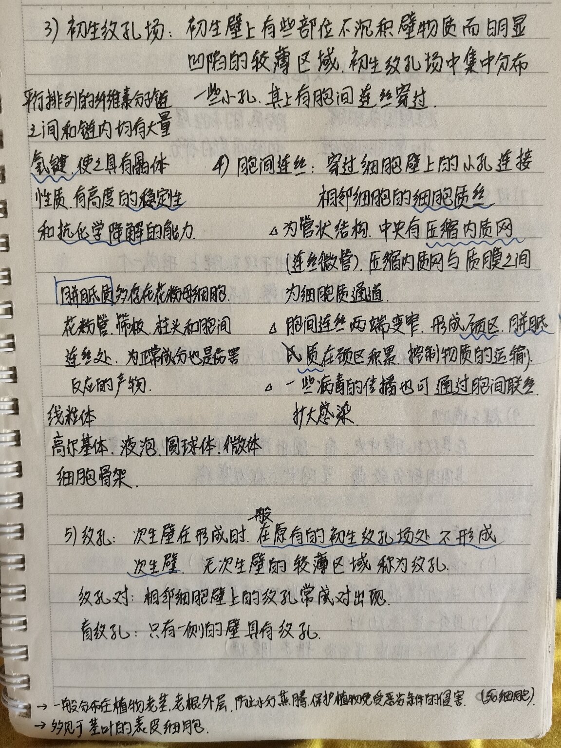 植物学笔记(7)