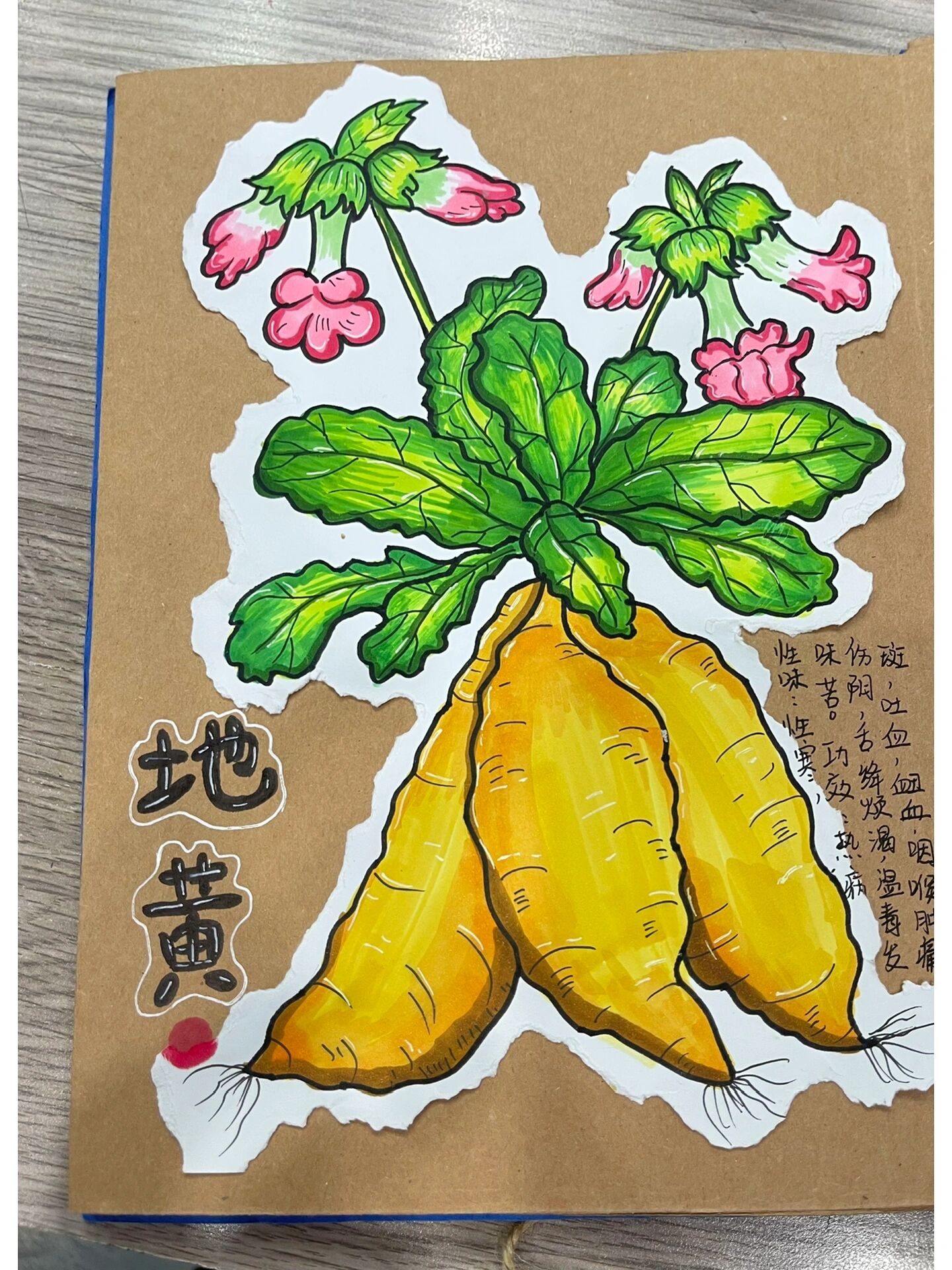 《本草纲目》地黄 草药916-8岁创意画