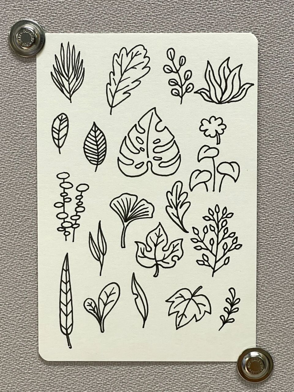 99一起来画植物花卉简笔画吧98 这篇是花卉绿植的简笔画合集,看着