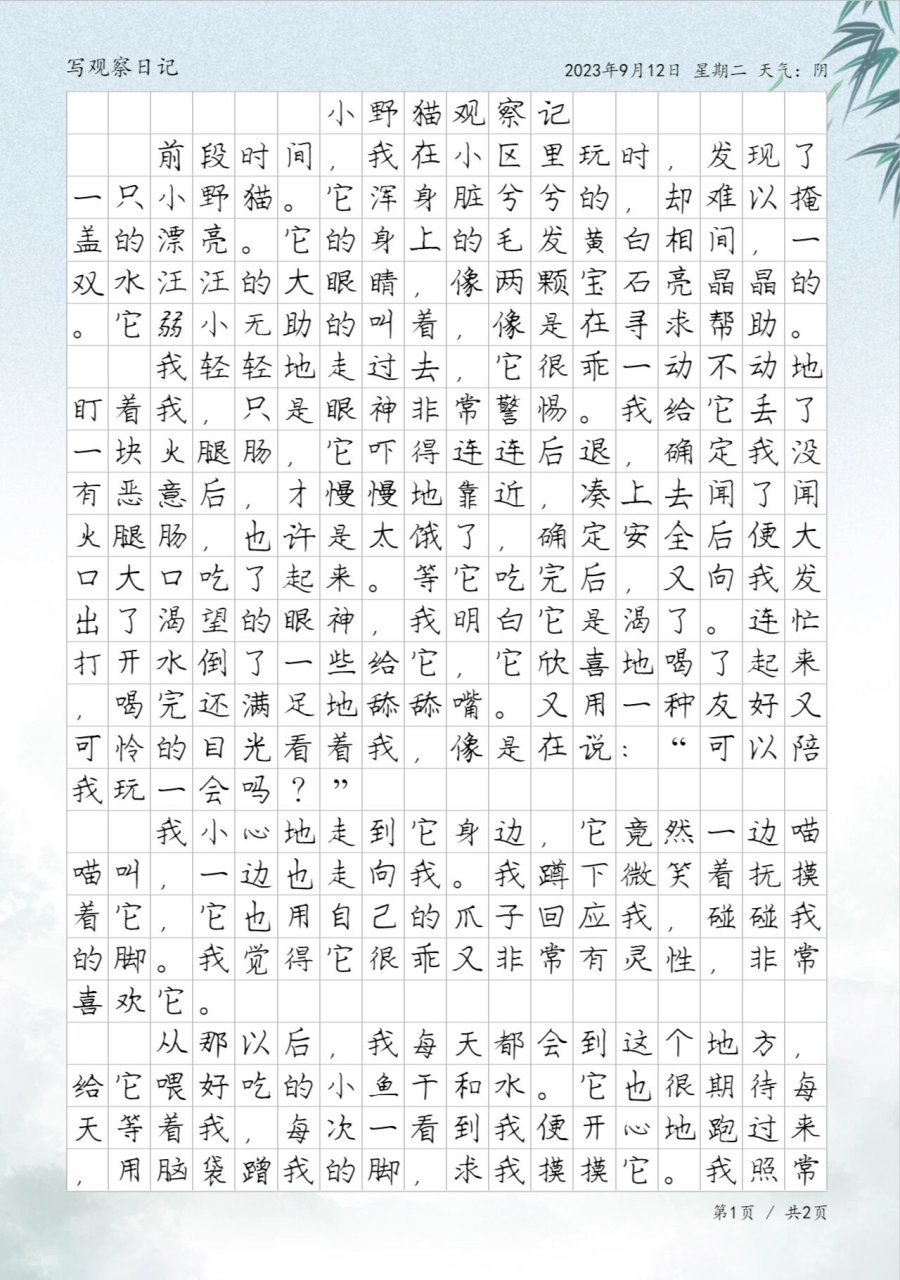 观察日记400字四年级小猫出生(观察日记400字 四年级小猫出生)