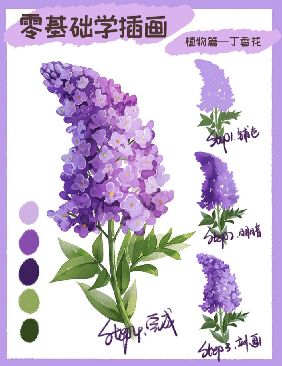 零基础学画画96丁香花的画法 96找参考,画出大概草稿 96铺色分
