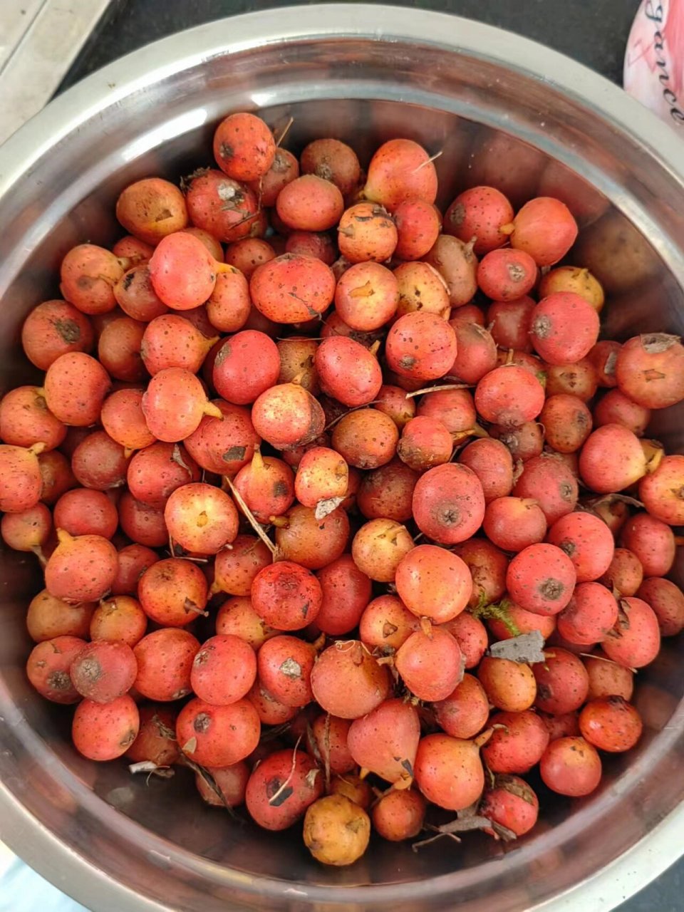 四川人不能错过的夏季野果 这辈子一定要吃的一种野果一定是野地瓜!