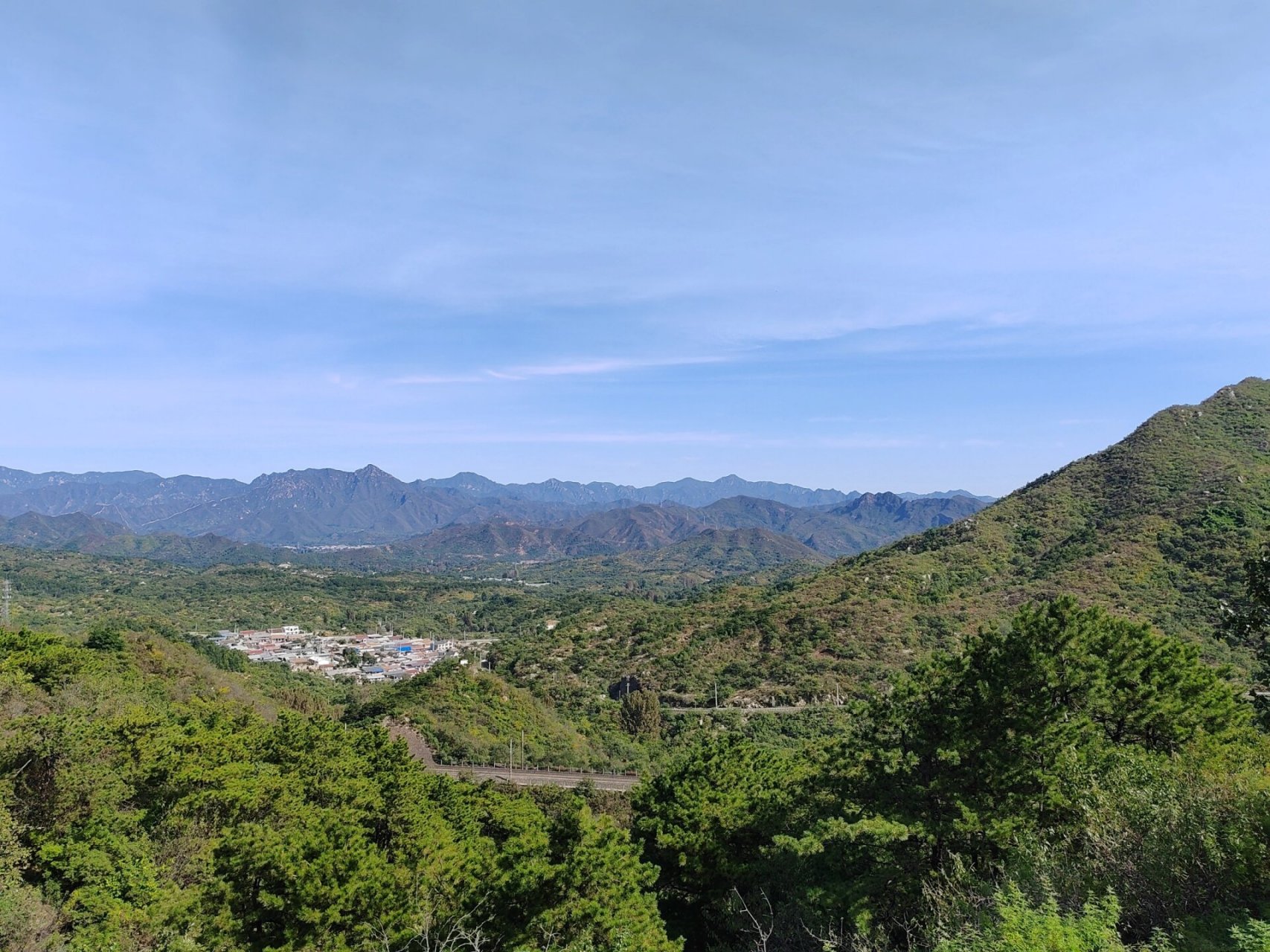 昌平延寿寺盘龙松