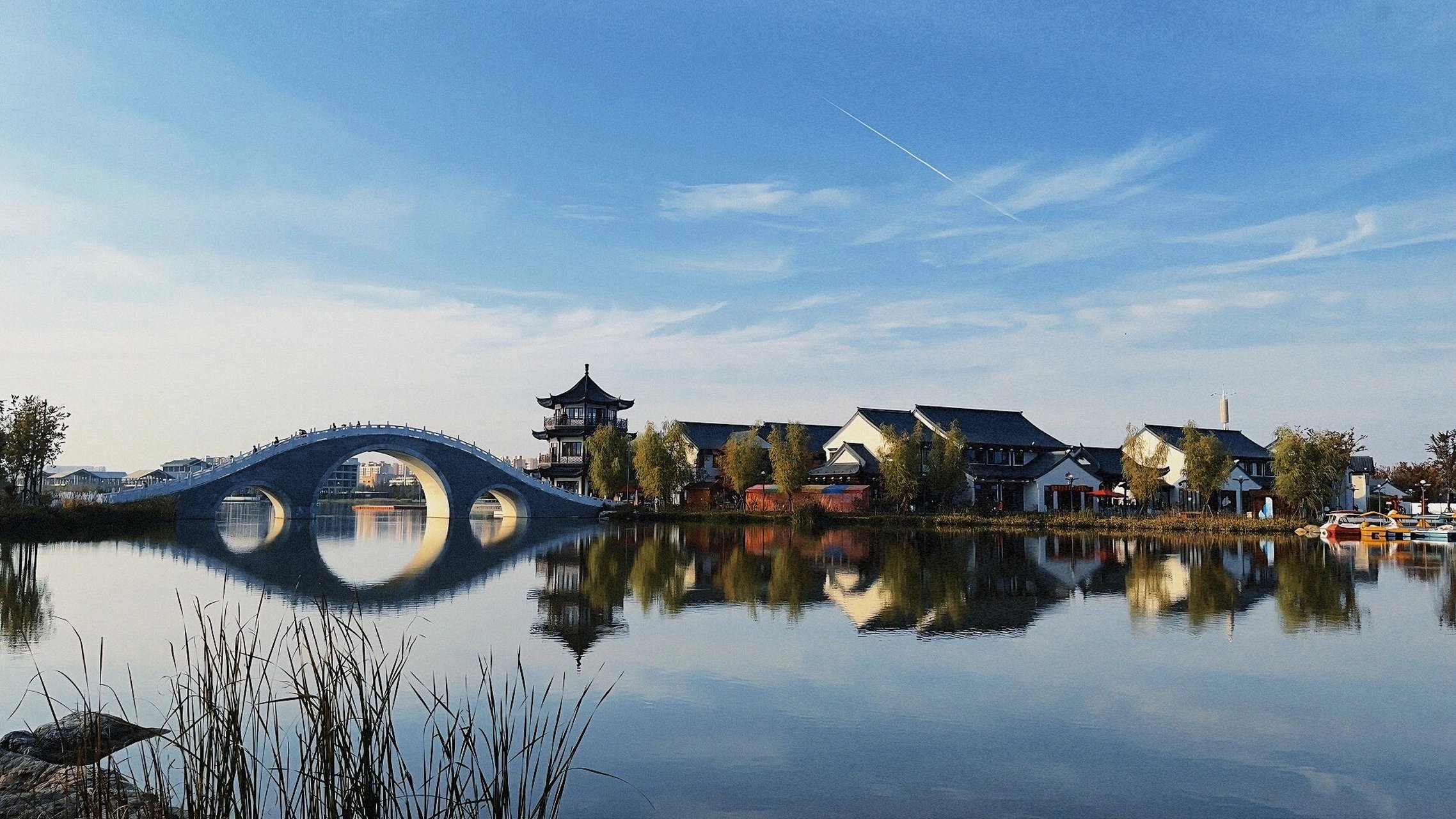 南阳99古镇游 爸妈带我来月季大观园 位于南阳7615场附近 挑个