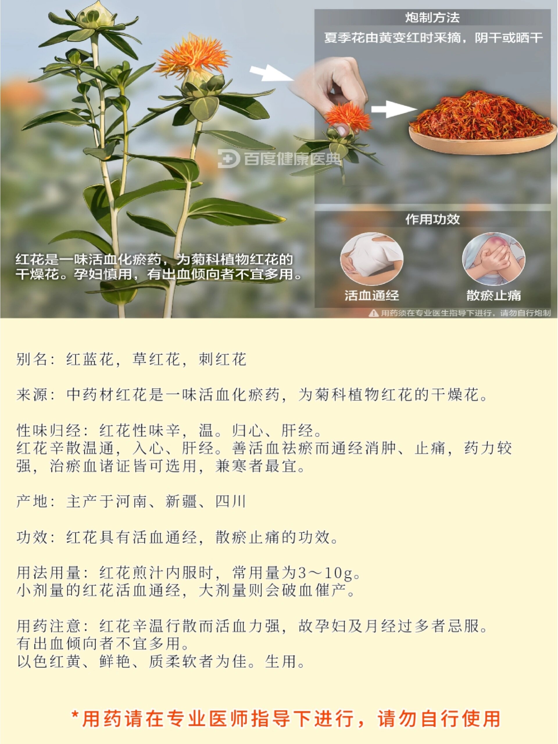 潮汕红花仙草禁忌图片