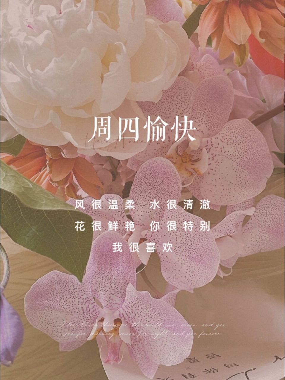 周四愉快 | 早安日签 | 花店文案 | 正能量 95 等到晴空万里,与你不