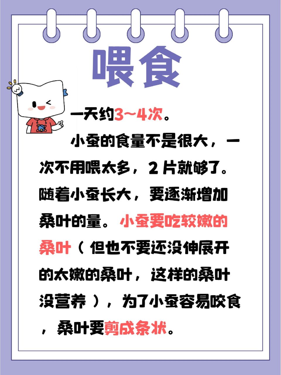 小方听说娃儿们最近都在养蚕 专门给大家准备了养蚕注意事项 一起来