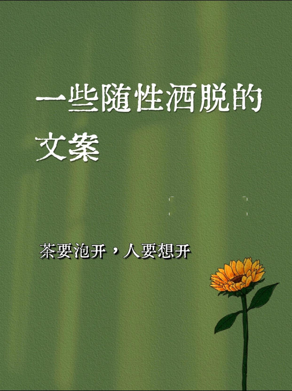 789791随性洒脱的文案,希望每个人自由   	 91酷的像风,野得