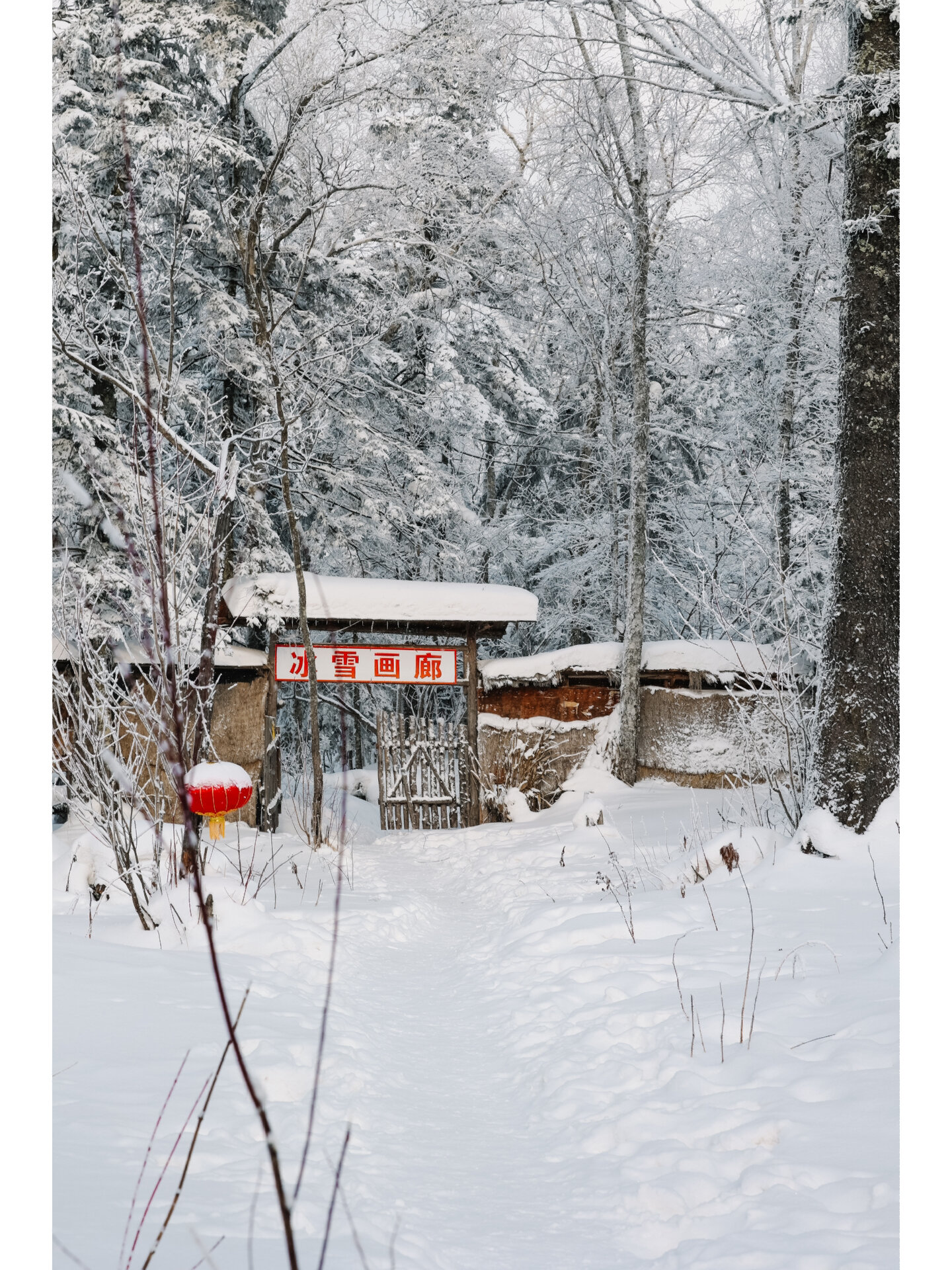 冰雪画廊门票图片