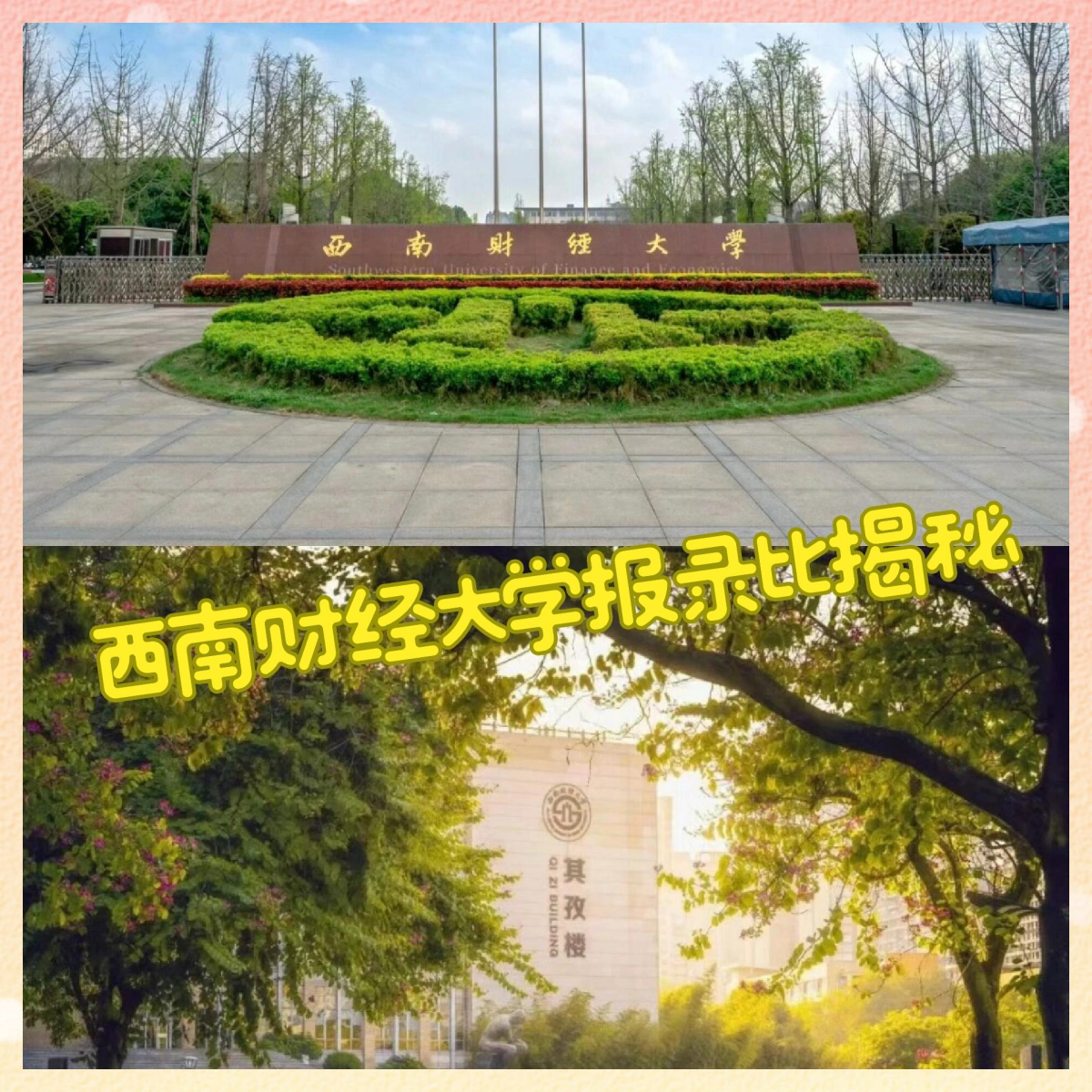 西南财经大学考研指南